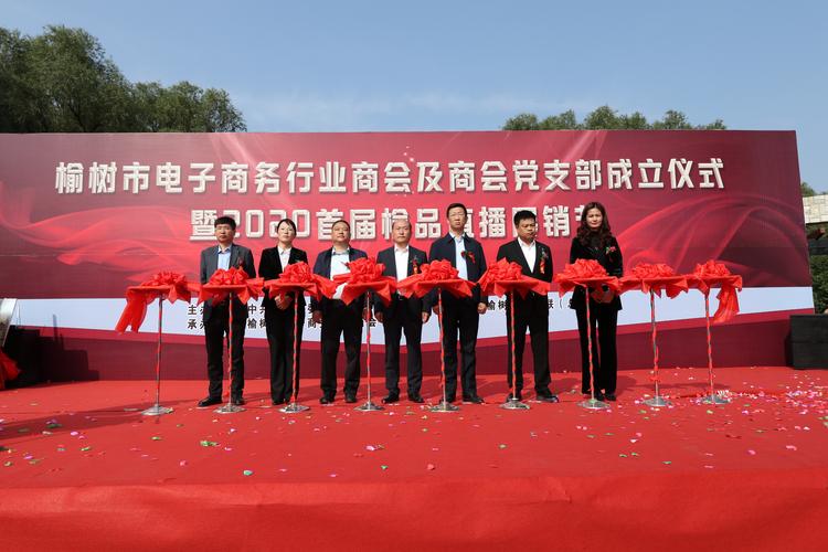榆树市电子商务行业商会 驱动黑土地上的电商新引擎